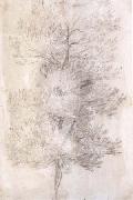 Claude Lorrain A Tree Trunks (mk17) Spain oil painting artist